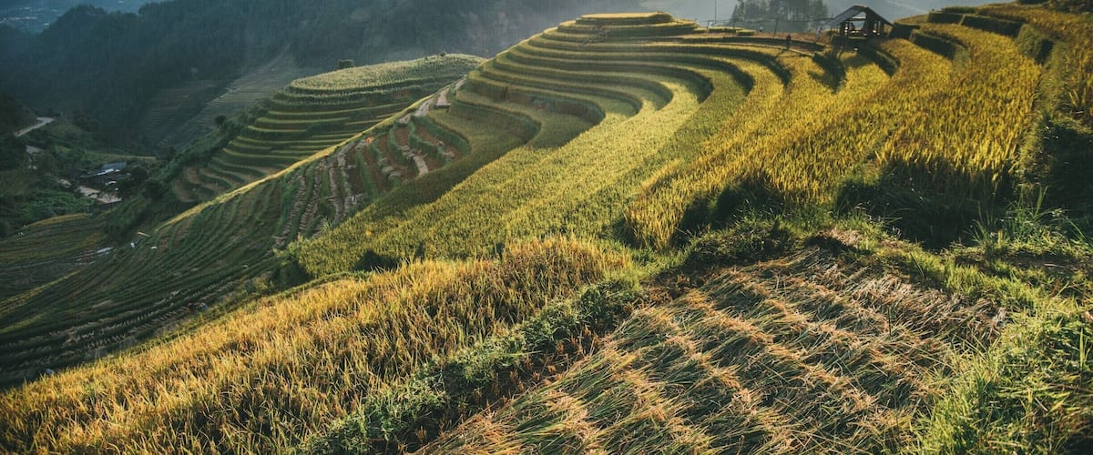 Terraced rice fields, rolling hills, and a distant mountain range.