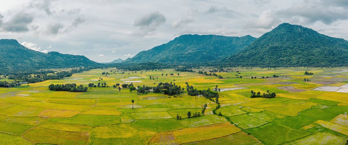 A vast agricultural landscape with terraced fields, a river, and mountains in the background.