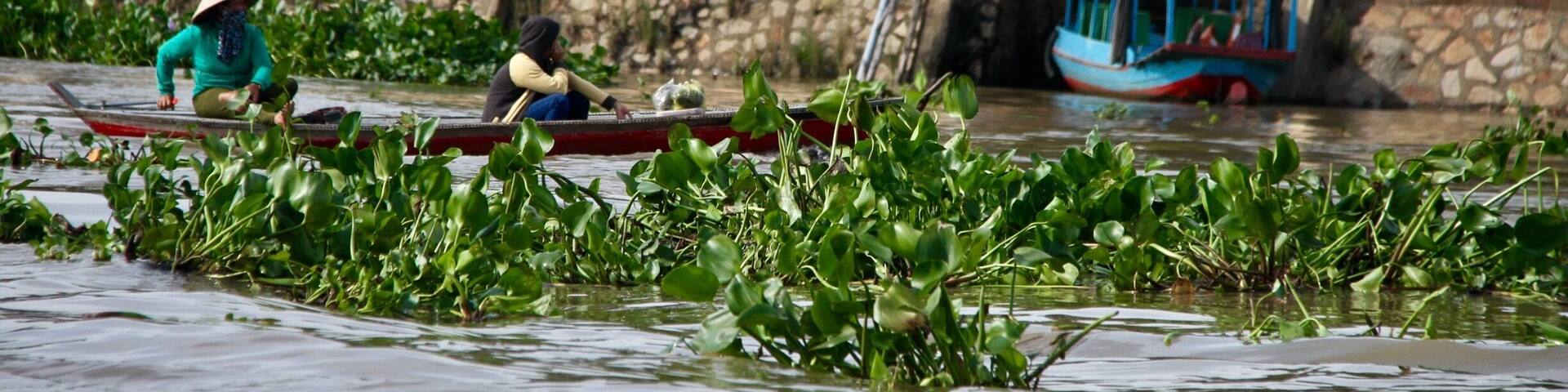 A river with boats, a bridge, and greenery.