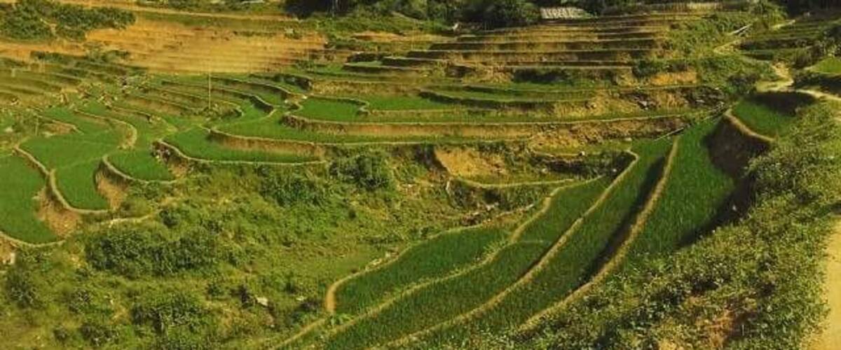 The majestic rice fields of Sapa, Vietnam is the ideal location for all trek lovers. If planning a trip then do consider doing an overnight trip in a homestay within one of the surrounding villages. Many travel agencies around to offer itineraries.