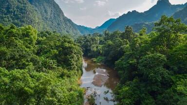 A river winding through a dense, green forest with mountains in the background.