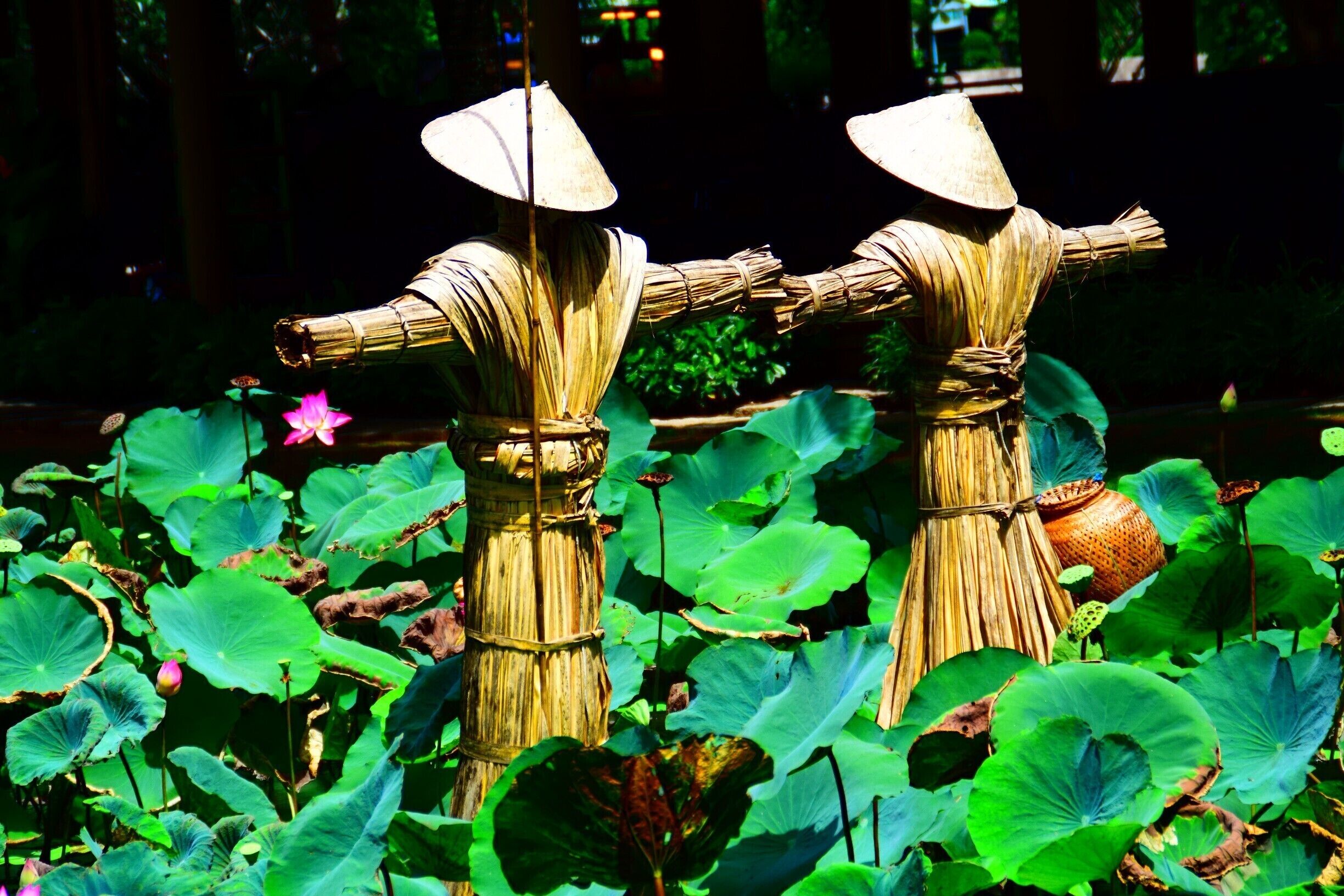 Two straw figures with conical hats in a lotus pond.