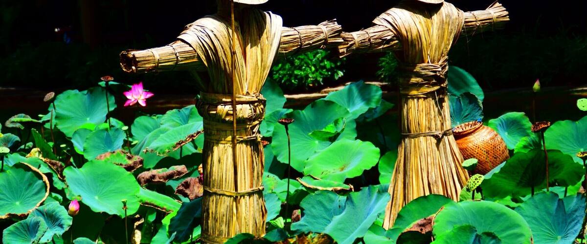 Two straw figures with conical hats in a lotus pond.
