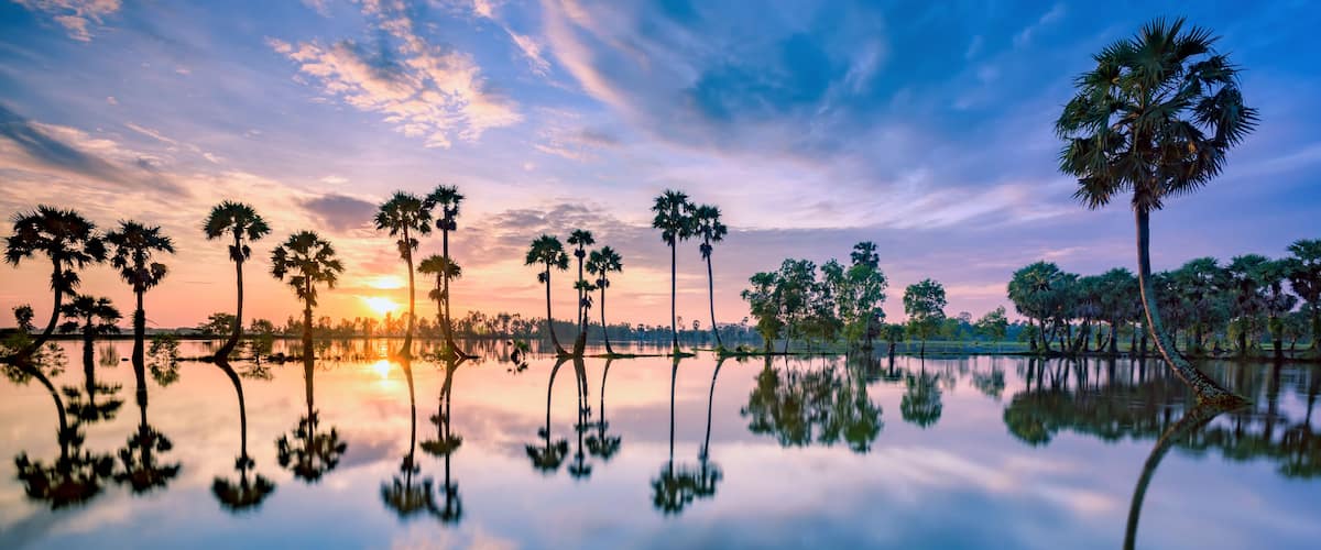 Ein ruhiger See mit Palmen, deren Silhouetten im Sonnenuntergang widergespiegelt werden.