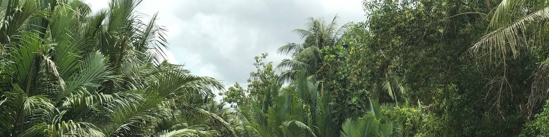 A lovely boat ride....
