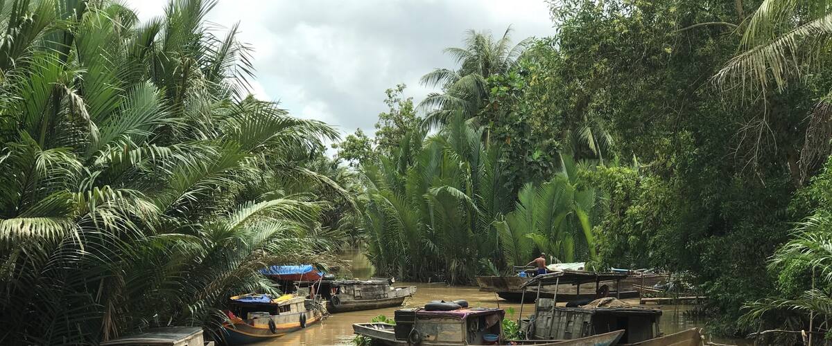 A narrow waterway lined with boats and dense tropical vegetation.