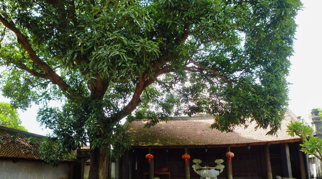 ๊พธ์ ๋ณด