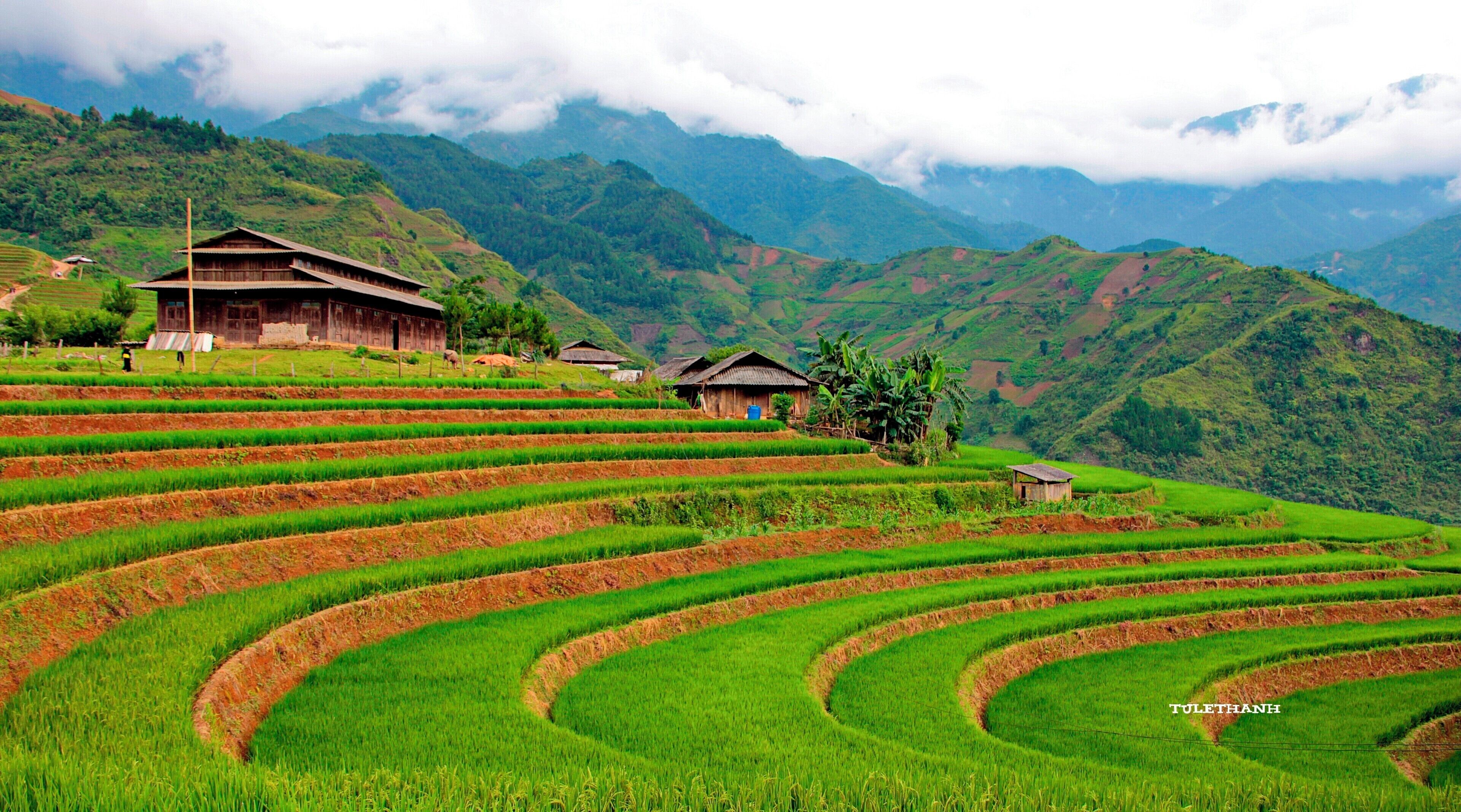 Terraced rice fields, traditional wooden houses, and mountainous terrain.