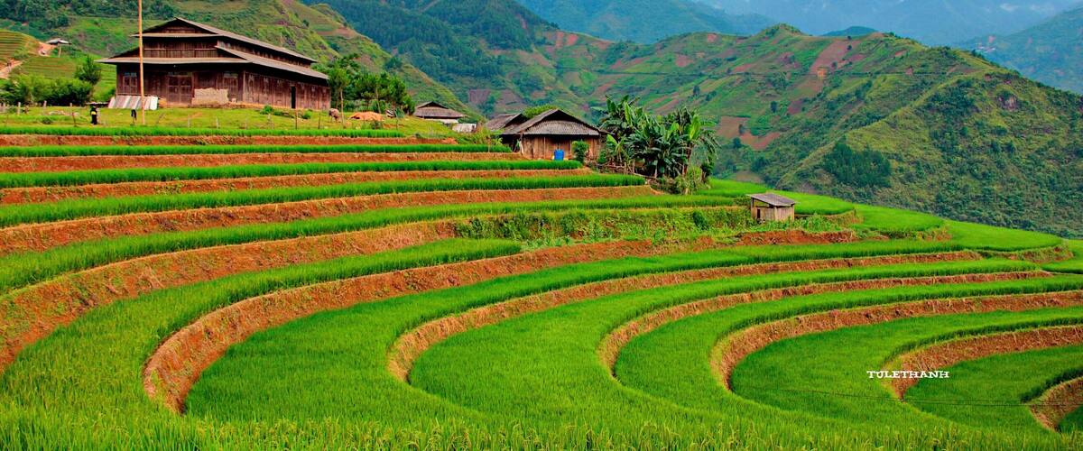 Terraced rice fields, traditional wooden houses, and mountainous terrain.