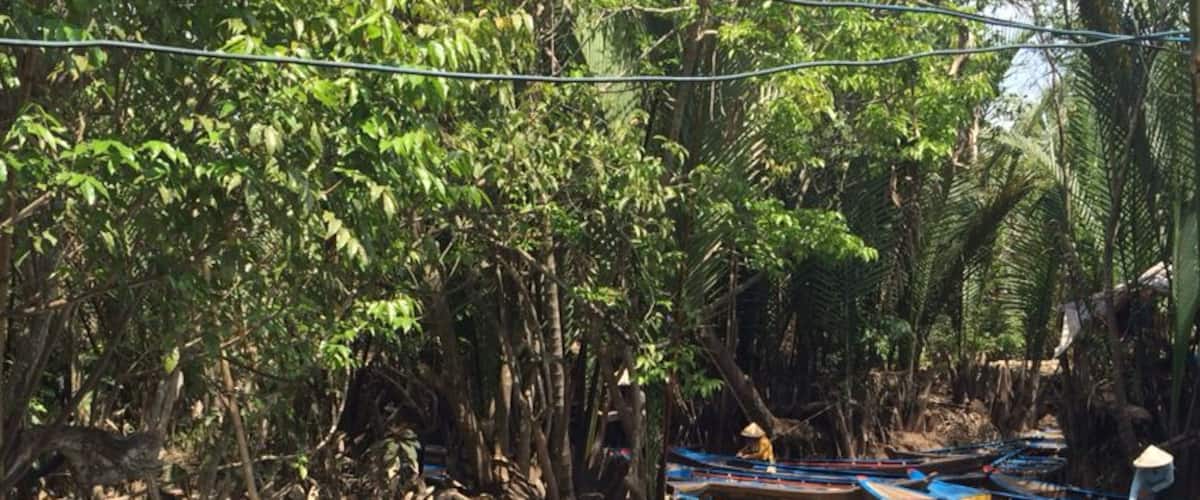 Canoe down part of Mekong Delta