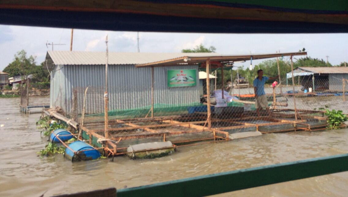A flooded area with a makeshift structure and a person standing nearby.
