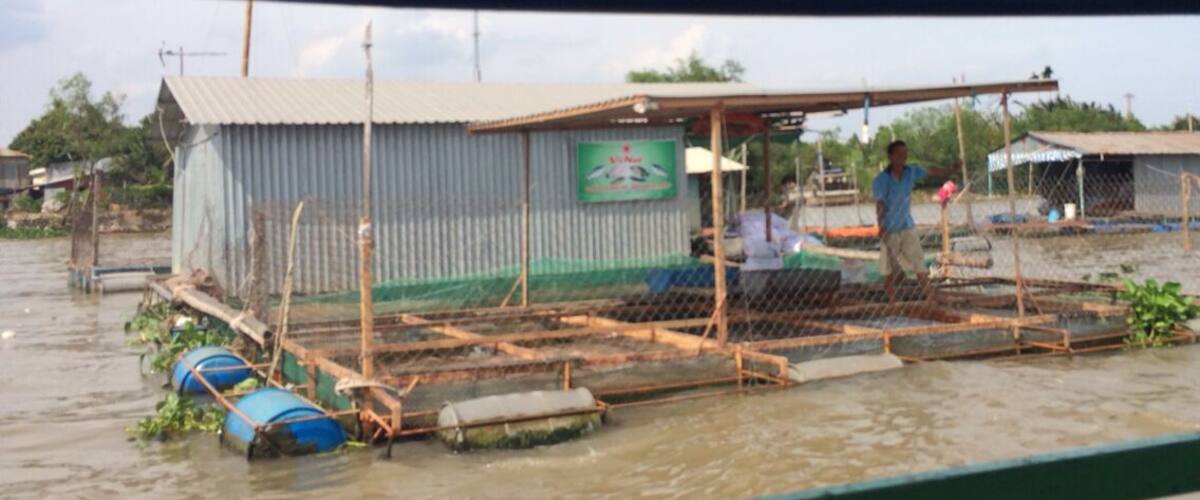 A flooded area with a makeshift structure and a person standing nearby.