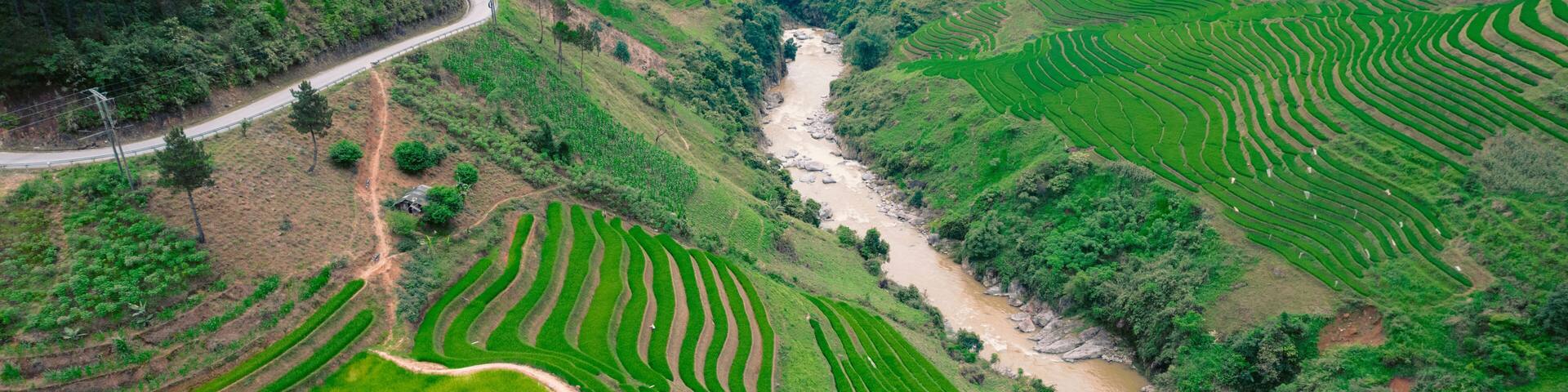 Rice terraces and a river flowing through the valley in Tram Tau District of Vietnam; Tram Tau, Tram Tau District, Yen Bai, Vietnam
