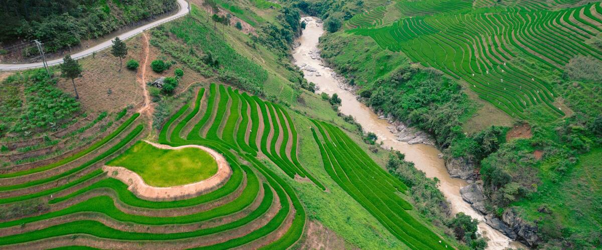 Terraced rice fields, a winding river, and a road in a hilly landscape.