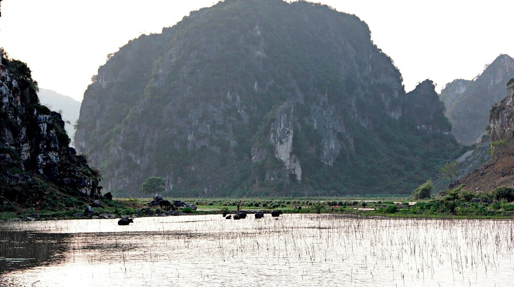 hạ long cạn xú thanh
