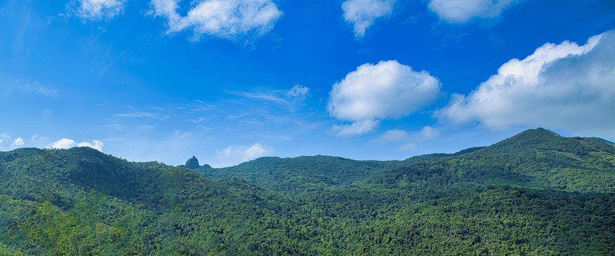 A mountainous landscape with dense green forests and a clear blue sky with scattered clouds.
