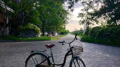 Raid leading to the resort