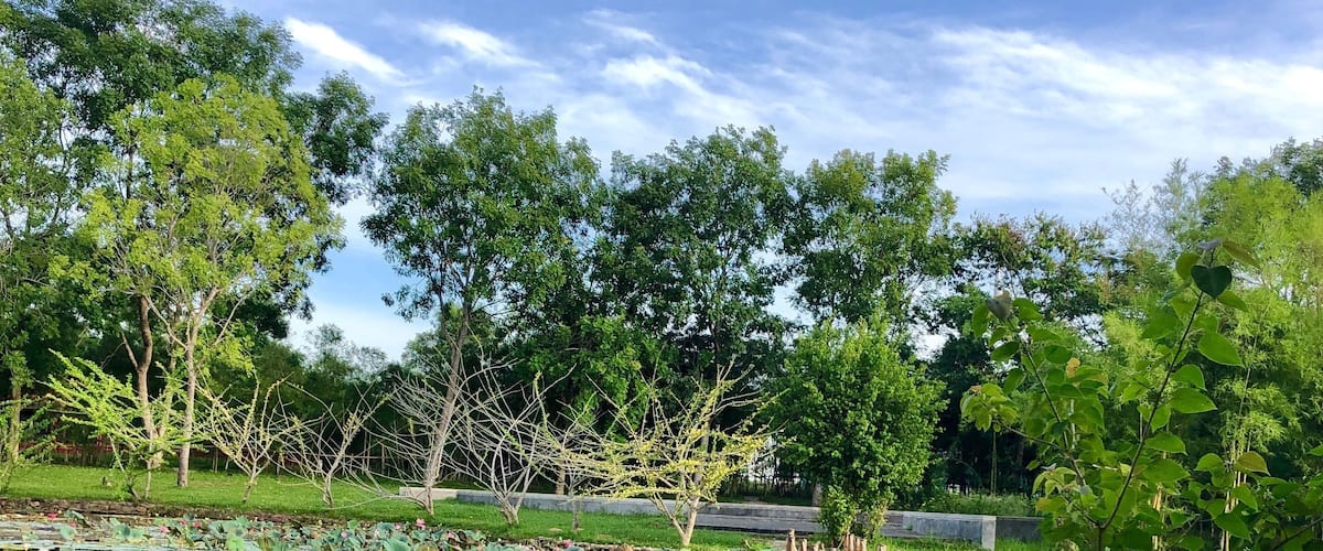 Natural hot spring resort that is 45 mins away from
Hue city