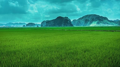 Mountains rise like icebergs out of the rice fields. The greenest thing I have ever seen in my life. #green