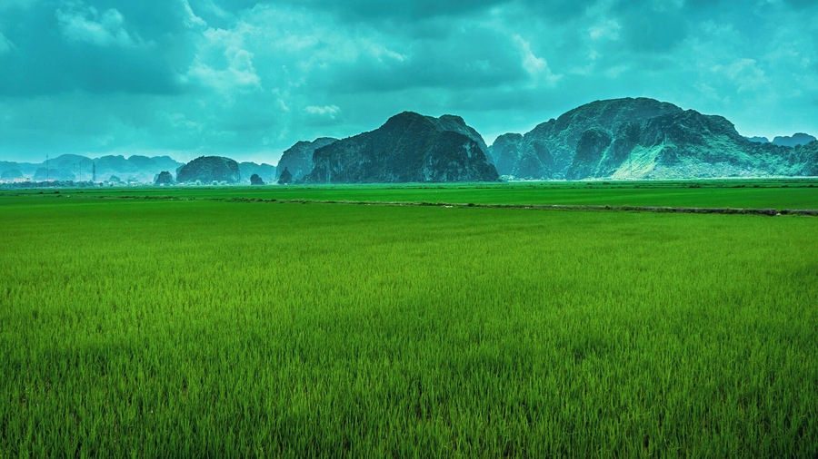 Mountains rise like icebergs out of the rice fields. The greenest thing I have ever seen in my life. #green