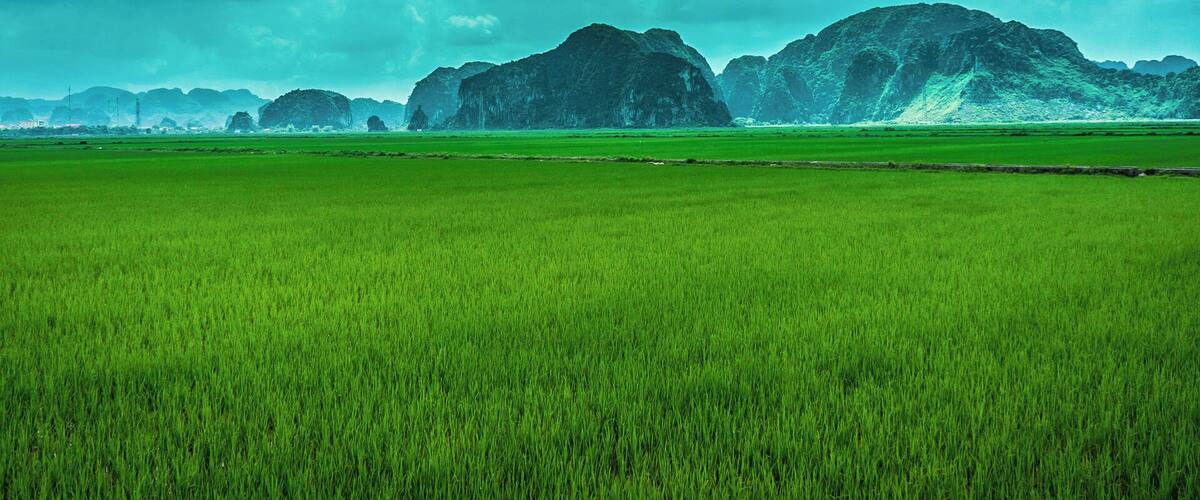 A lush green field with distant rocky mountains under a cloudy sky.