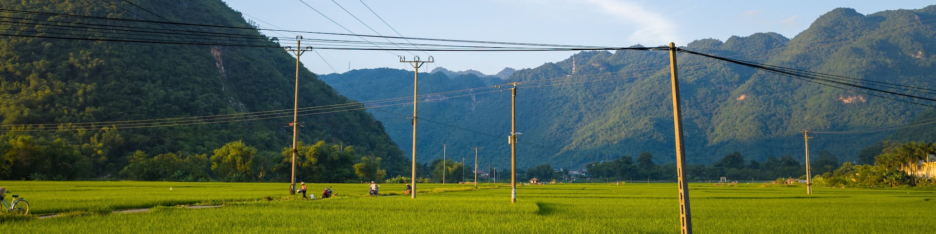 Electric poles and wires stretch across lush green rice paddies with forested mountains in the background under a bright blue sky. Late afternoon sunlight enhances the vivid landscape and rural
