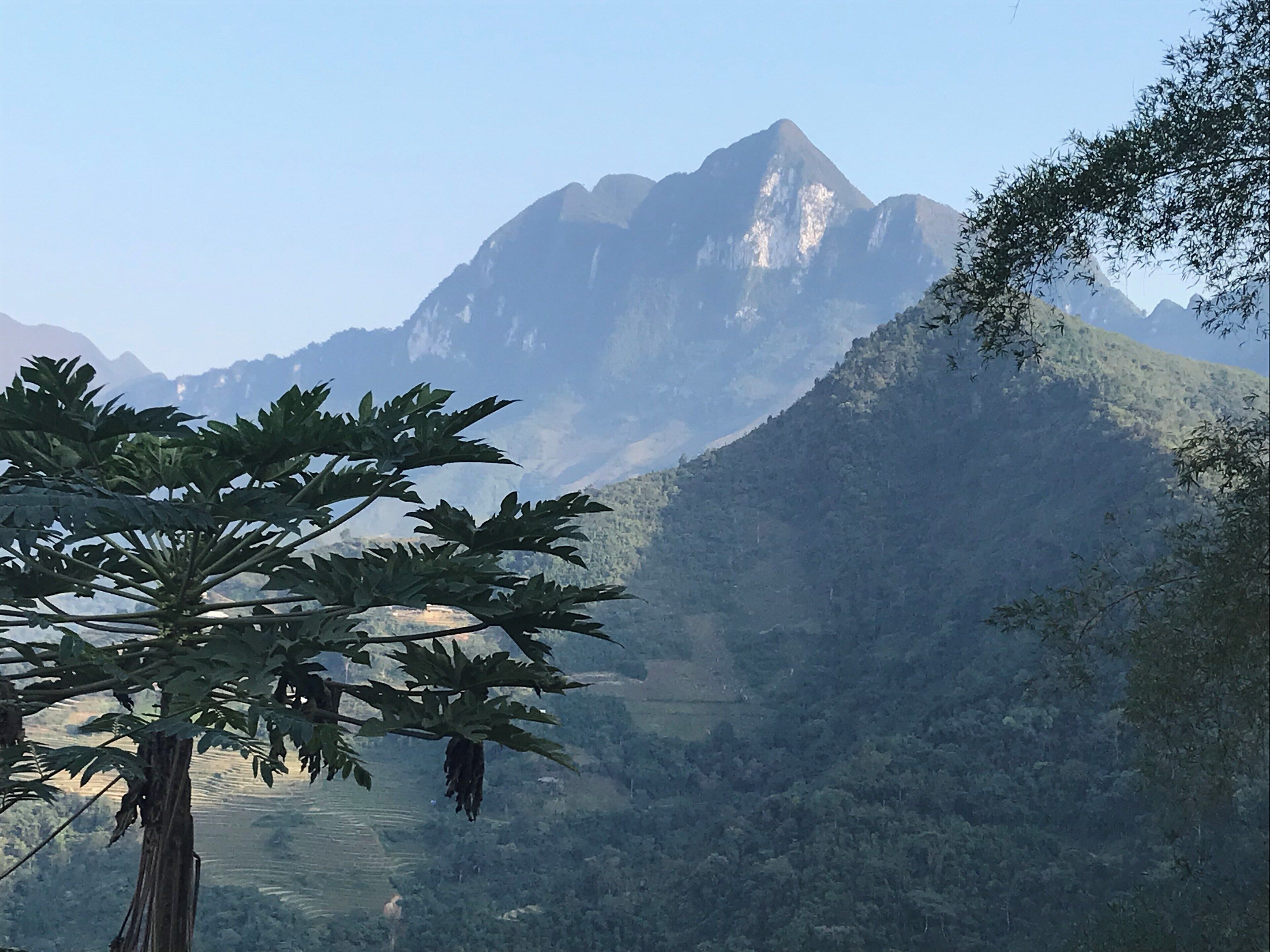 The late afternoon on the Ha Gian loop near Yen Minh #trovember