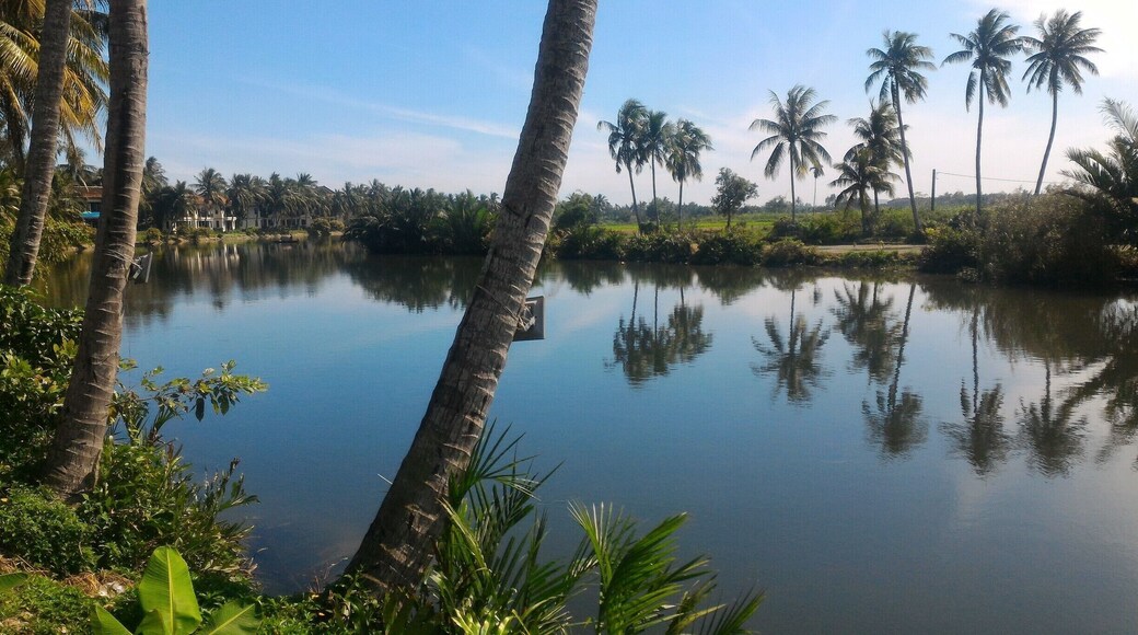 Shot on the side of the rd by the Thu Bôn River
