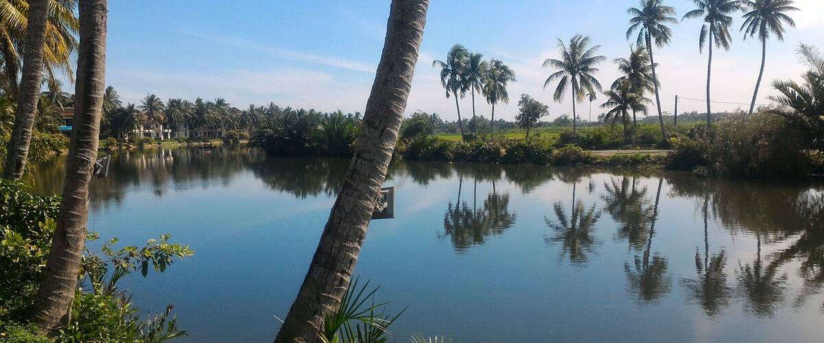 A calm lake surrounded by palm trees and greenery.