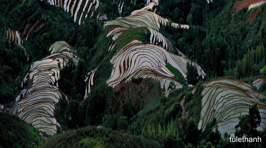 ruộng bậc thang tà xùa bắc yên sơn la việt nam