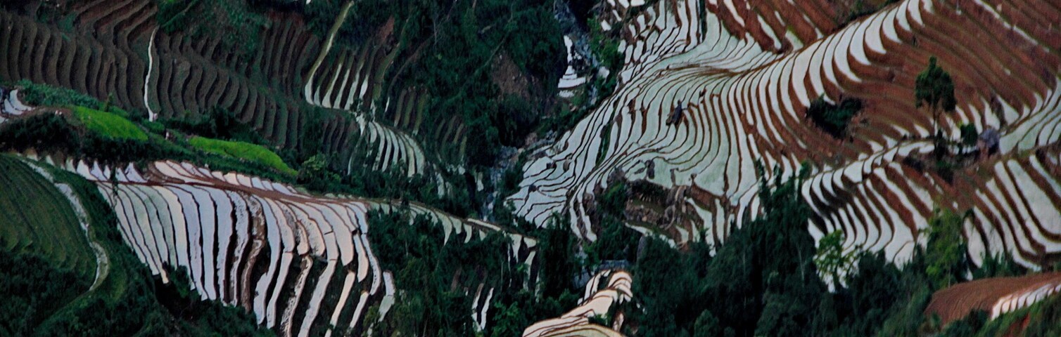 ruộng bậc thang tà xùa bắc yên sơn la việt nam