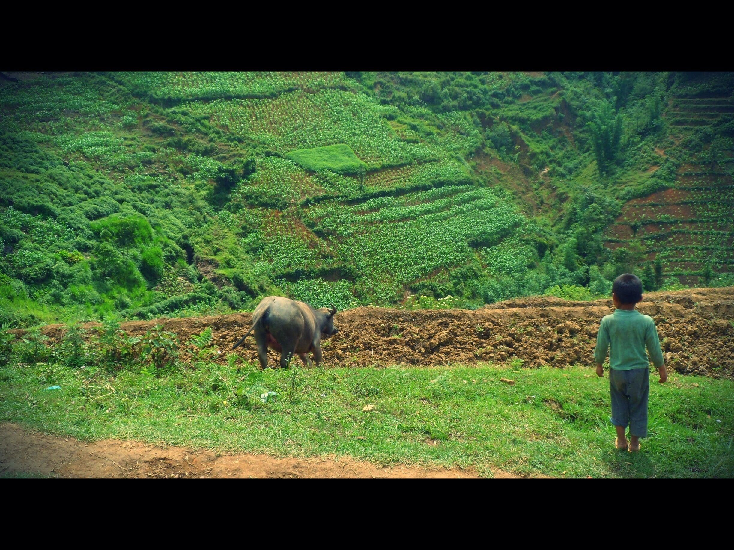 Lao Cai, Sapa, Vietnam.
3 days Sapa Trekking