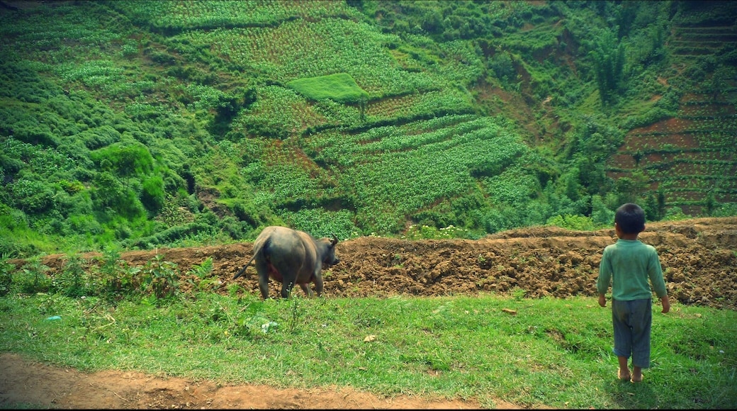 Lao Cai, Sapa, Vietnam.
3 days Sapa Trekking