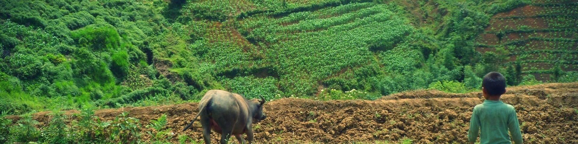 Lao Cai, Sapa, Vietnam.
3 days Sapa Trekking