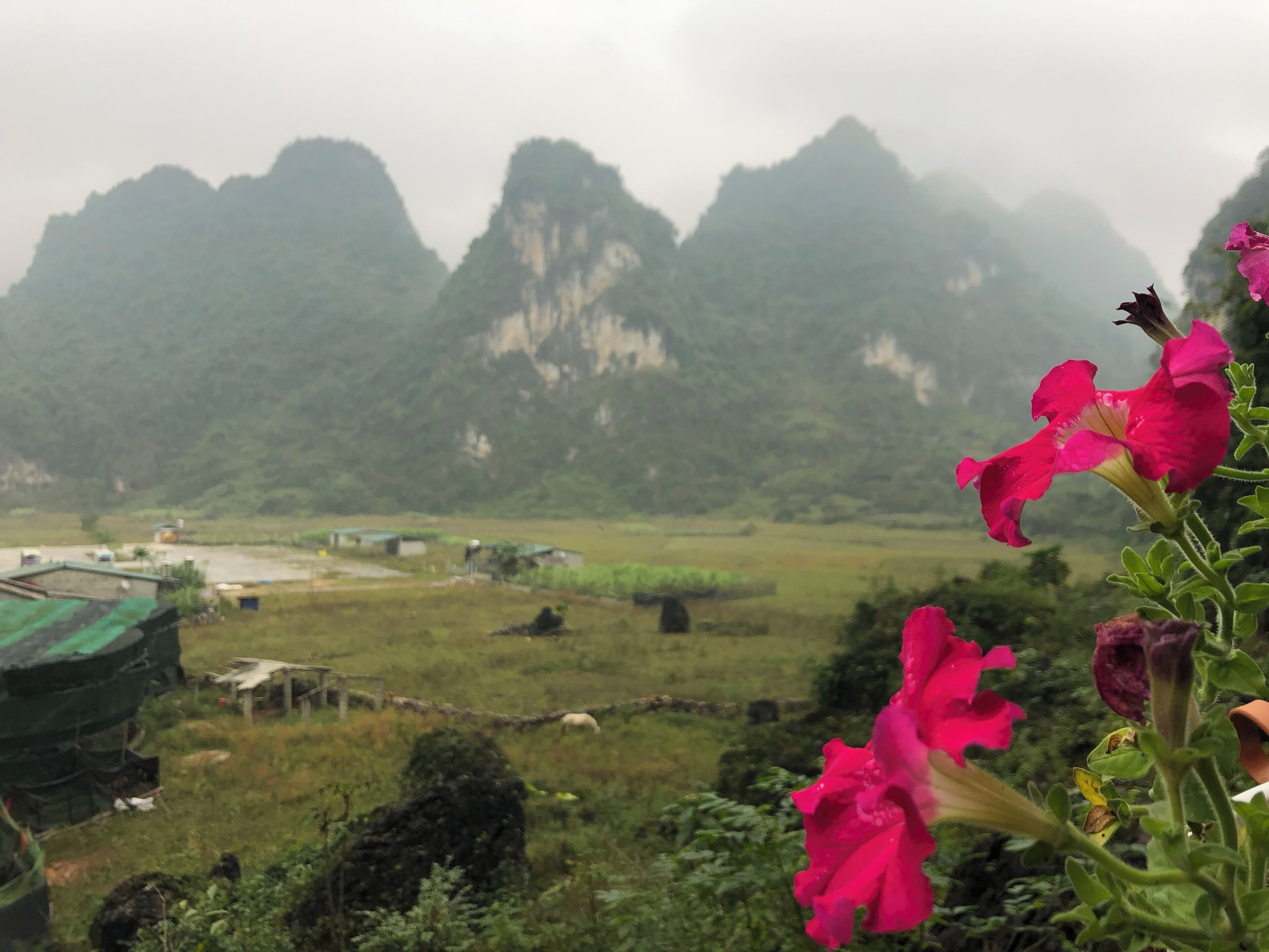 The view at the exit of the cave