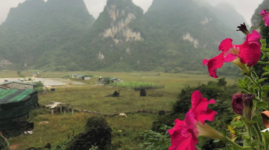 The view at the exit of the cave