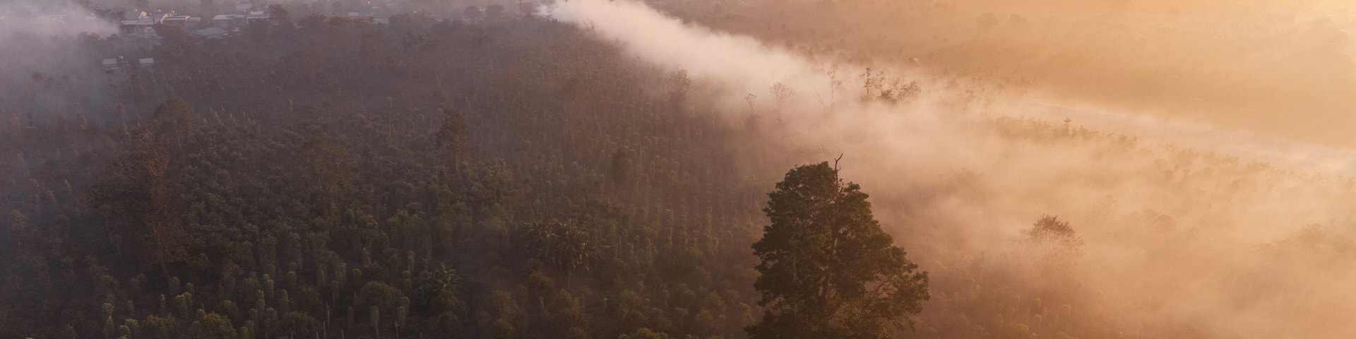 Cinematic Misty Morning Aerial of Rural Coffee Highlands in Dak Lak, Vietnam
Early morning mist blankets the lush coffee and pepper plantations, with rural houses peeking through the canopy