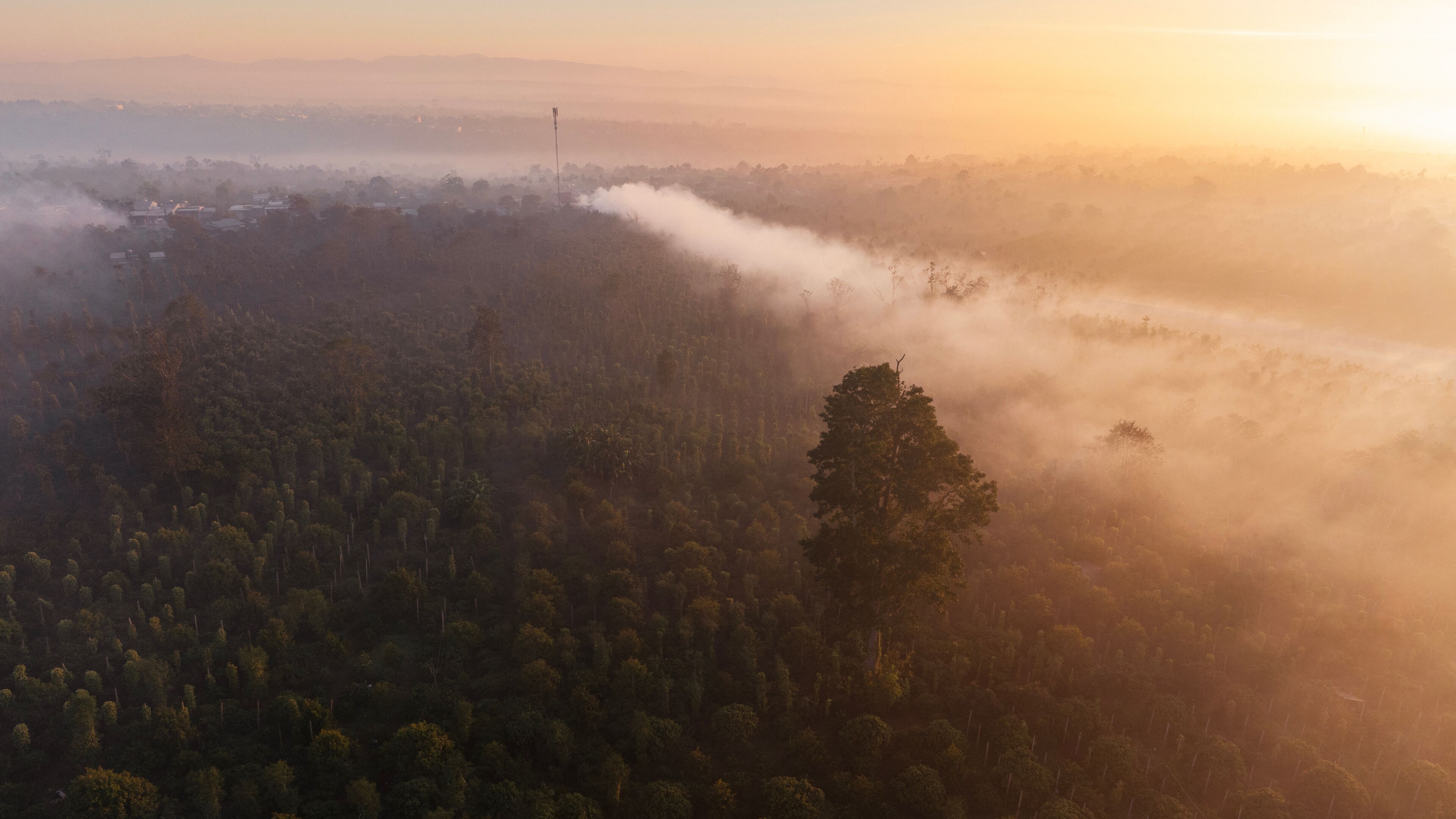 A forested landscape with a clear sky and a distant tower.