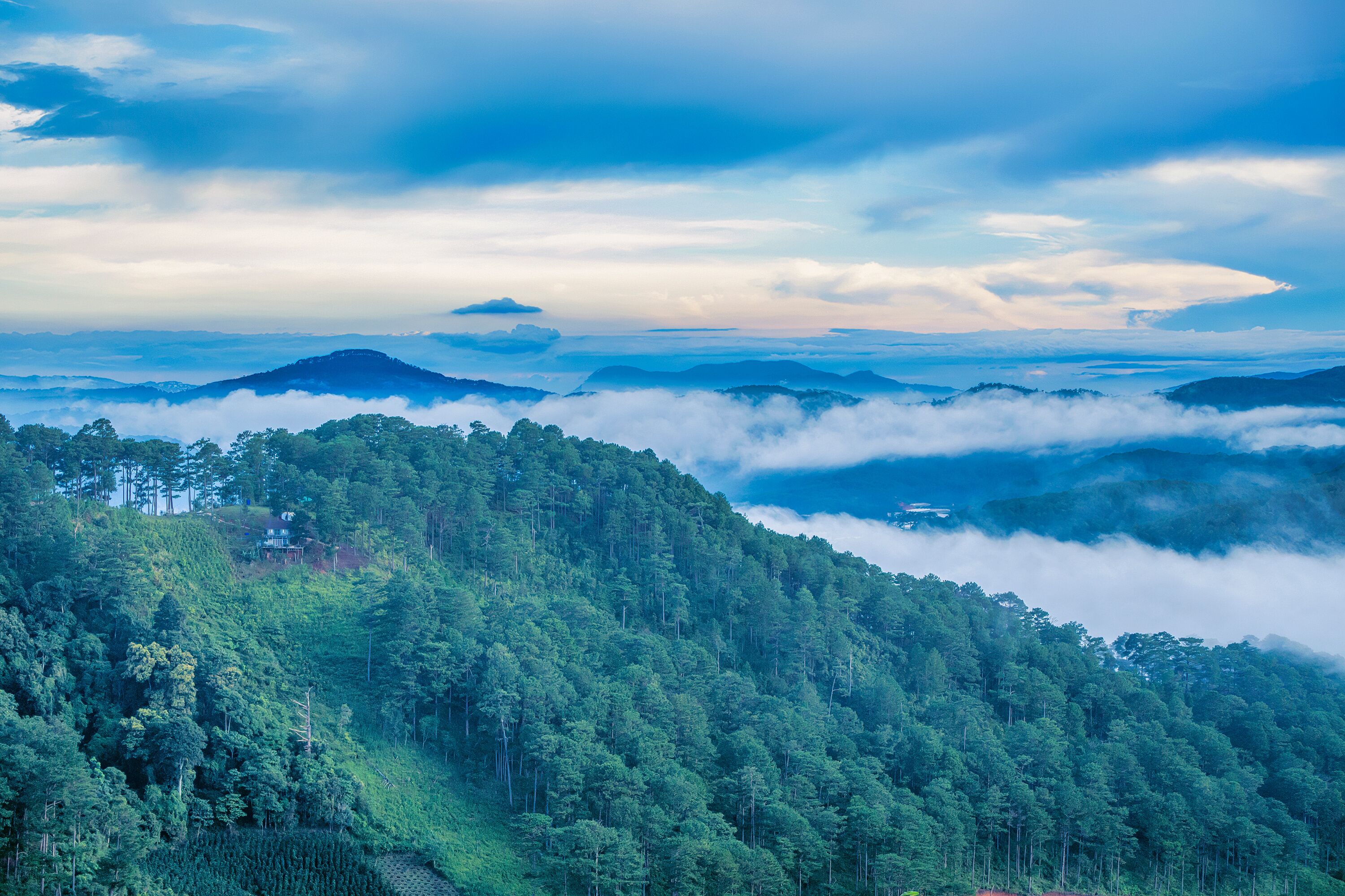 A small house on the mountainside, among the green pine forest covered by clouds in Da Sar, Lac Duong, Lam Dong, Vietnam