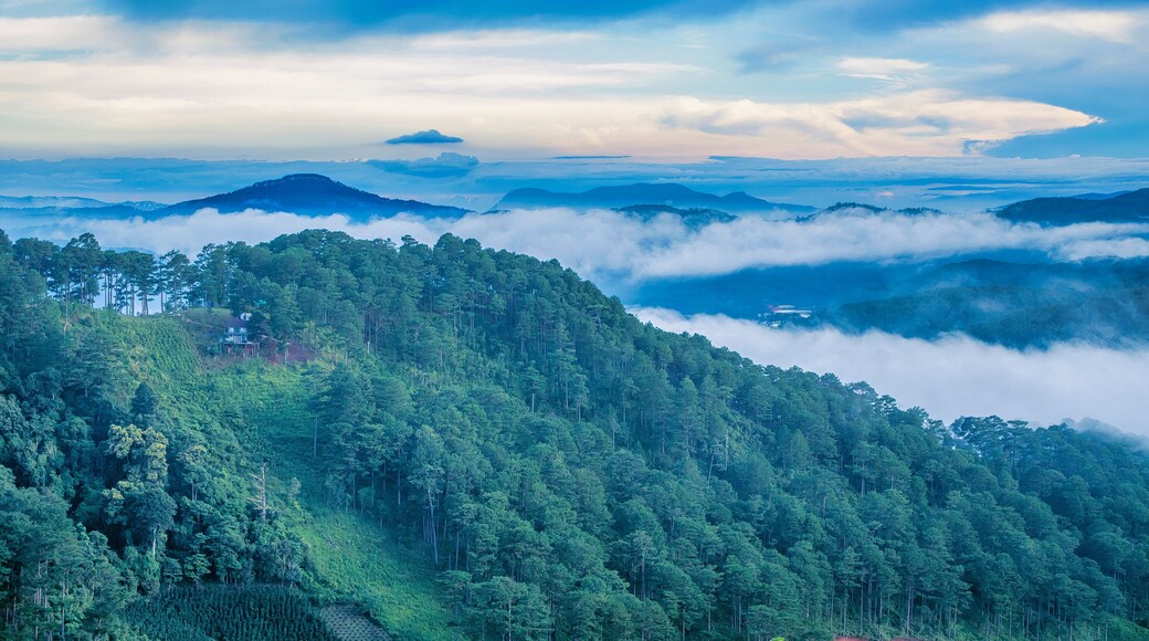 A small house on the mountainside, among the green pine forest covered by clouds in Da Sar, Lac Duong, Lam Dong, Vietnam