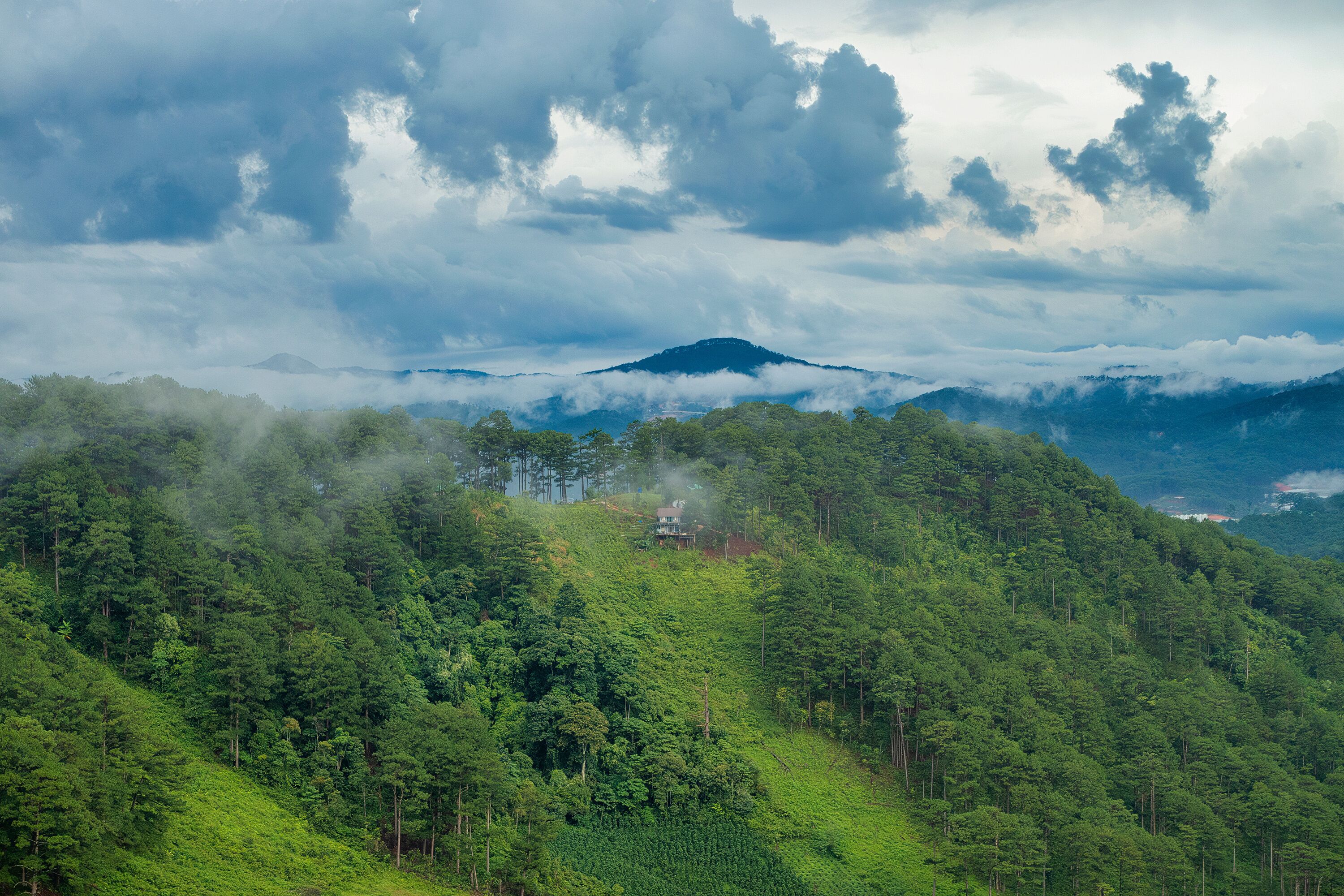 A small house on the mountainside, among the green pine forest covered by clouds in Da Sar, Lac Duong, Lam Dong, Vietnam