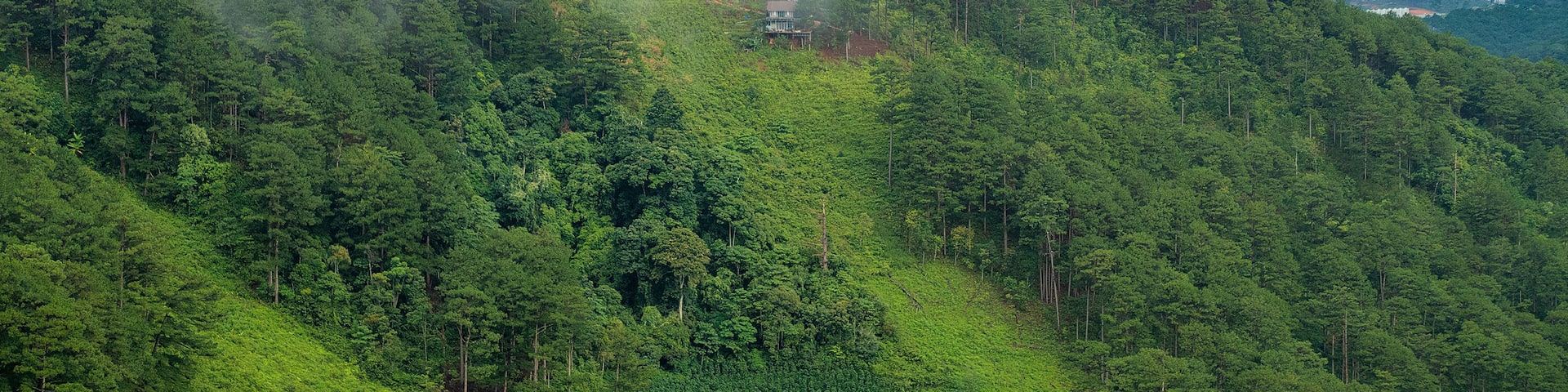A small house on the mountainside, among the green pine forest covered by clouds in Da Sar, Lac Duong, Lam Dong, Vietnam