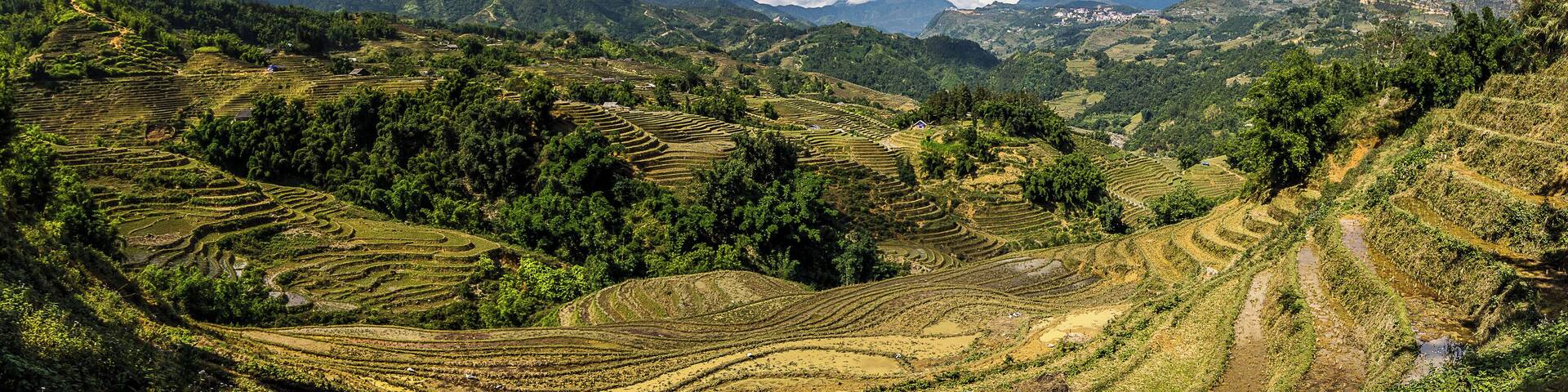 Getting off the roads and official tourist paths gave us these sorts of views while walking through the rice terraces that surround SaPa in Vietnam. SaPa can be seen off in the distance. #trovember