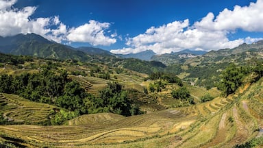 Getting off the roads and official tourist paths gave us these sorts of views while walking through the rice terraces that surround SaPa in Vietnam. SaPa can be seen off in the distance. #trovember