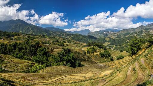 Getting off the roads and official tourist paths gave us these sorts of views while walking through the rice terraces that surround SaPa in Vietnam. SaPa can be seen off in the distance. #trovember
