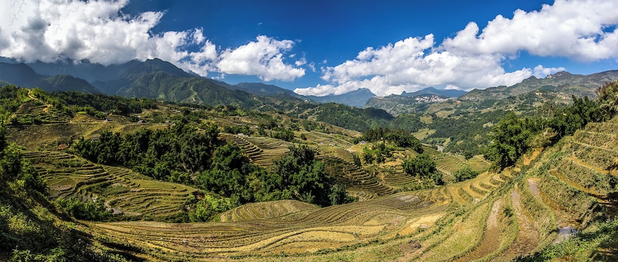 Getting off the roads and official tourist paths gave us these sorts of views while walking through the rice terraces that surround SaPa in Vietnam. SaPa can be seen off in the distance. #trovember