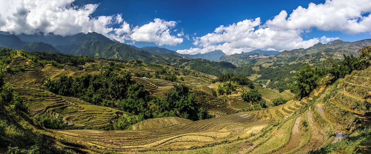 Terraced rice fields, lush greenery, and distant mountains under a blue sky.