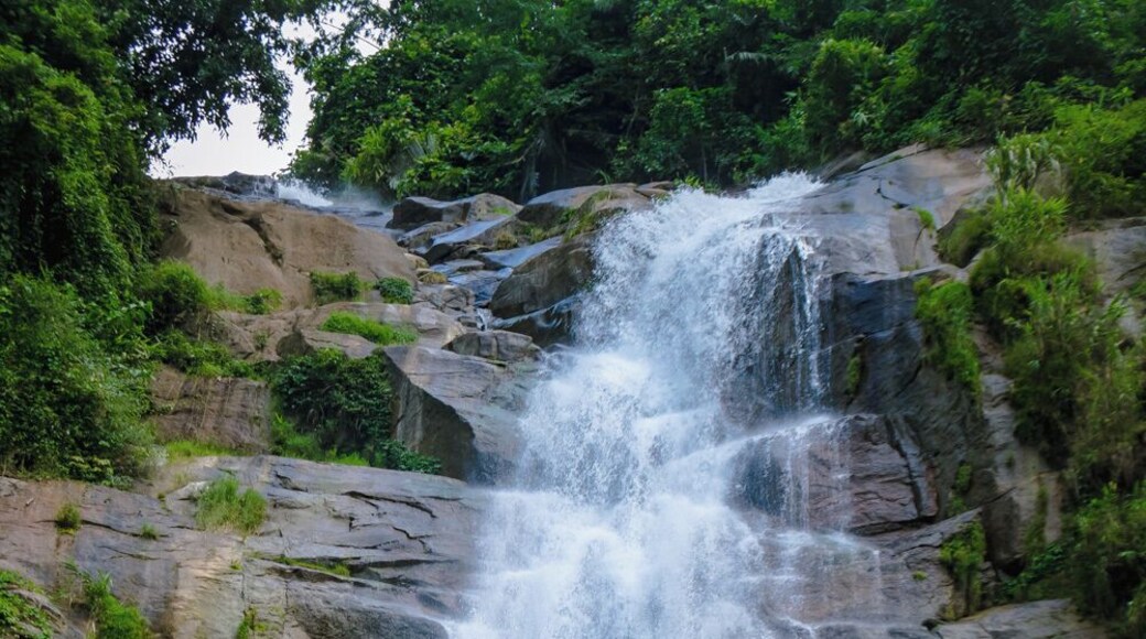 Having driven through the back roads of Huyen Ba Be and getting lost in off-road trails over mountain tops, we found our way to the bottom of Thac Tat Ma, where we took a dip under the waterfall while an old shepherd laughed at us.