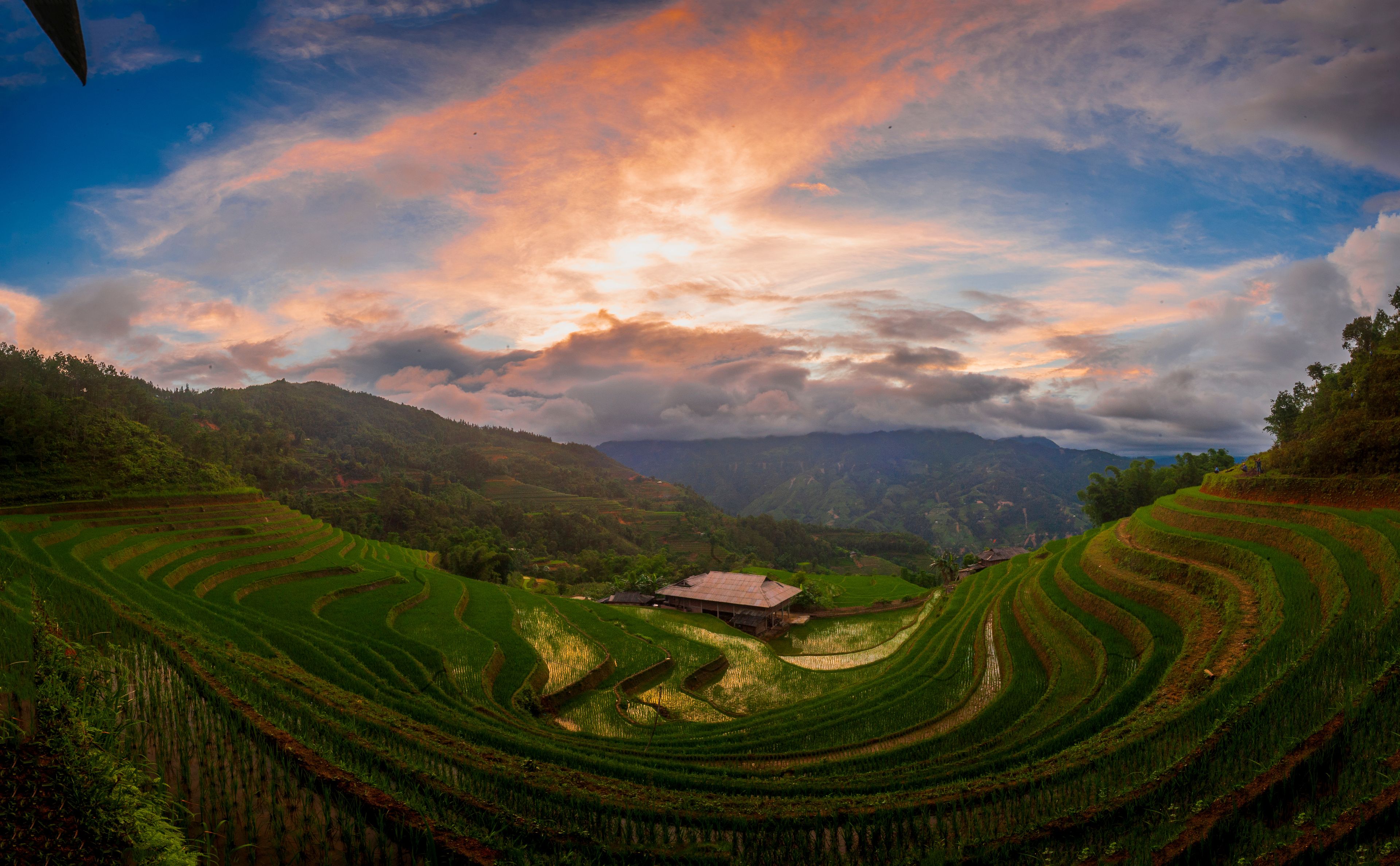 Campos de arroz em socalcos, um pequeno edifício e uma paisagem montanhosa sob um céu nublado.