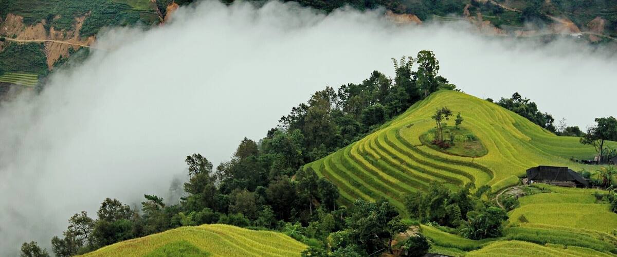 Terraced rice fields, a small house, and a forested hill.